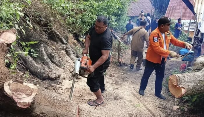 Longsor dan Pohon Tumbang Landa Sejumlah Wilayah, BPBD Kota Gorontalo Gerak Cepat