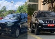 Nanti Viral!, Kadis Sosial Provinsi Gorontalo Ganti Pelat Mobil Dinasnya dari Hitam ke Merah