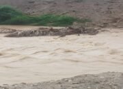 Normalisasi Sungai Balayo Mandek di Tengah Aktivitas Tambang Ilegal