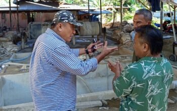 Komisi II Deprov Temukan Aktivitas Pengolahan Emas Ilegal di Perkampungan Suwawa 9 Ketua Komisi II DPRD Provinsi Gorontalo, Mikson Yapanto meninjau langsung Pengolahan Emas Ilegal di Perkampungan Suwawa/Hibata.id