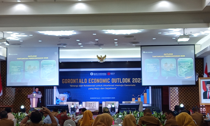 WhatsApp Image 2025 11 04 at 18.33.54