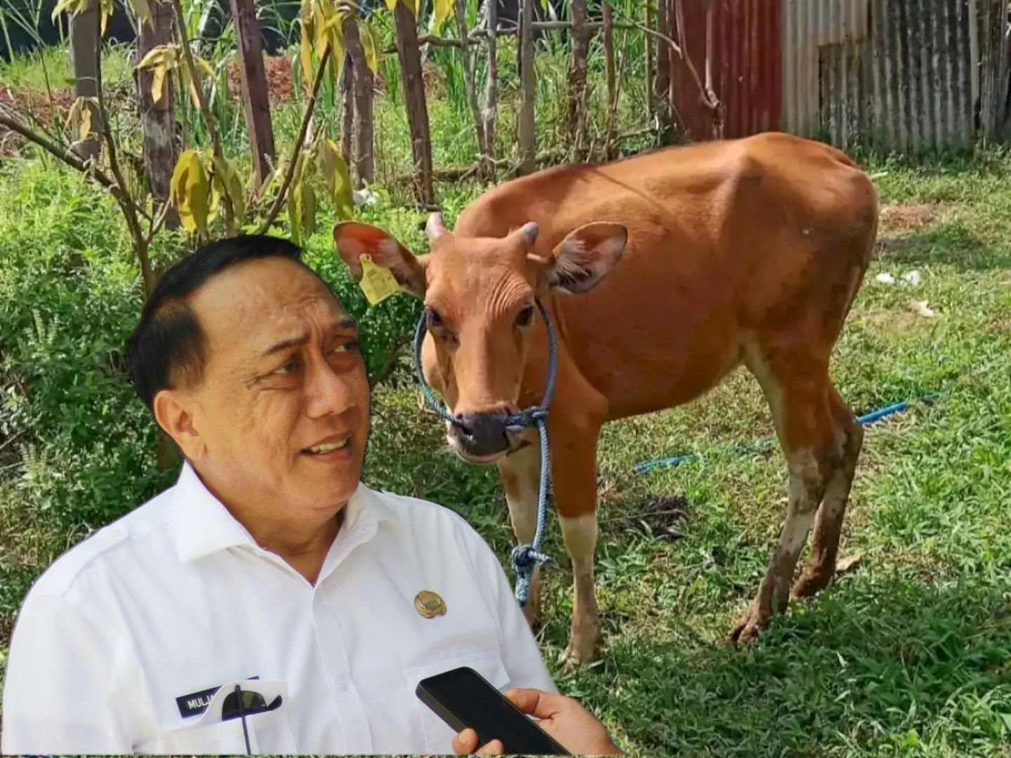 Kepala Dinas Pertanian Provinsi Gorontalo Mario Muljady/Hibata.id