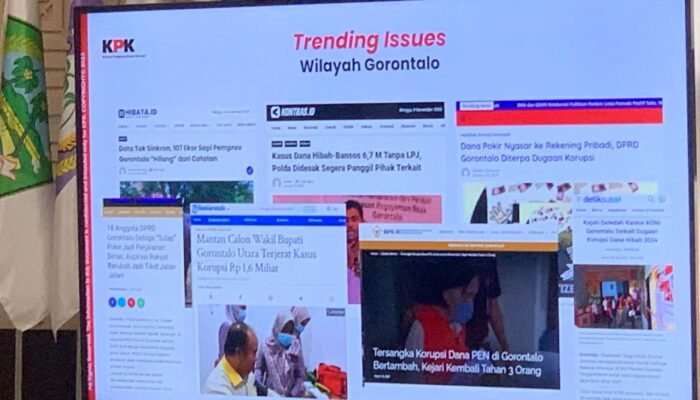 KPK Bidik Selisih Data Pengadaan Sapi di Pemprov Gorontalo, Kok Bisa?