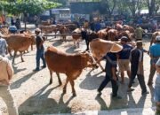 Forkopimda Tetapkan Pasar Hewan Pulubala Kembali ke Lokasi Semula