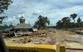 Kondisi pascabanjir wilayah di Desa Hotagodang , Batangtoru, Tapanuli Selatan. Minggu (30/11). Foto: BNPB/Hibata.id