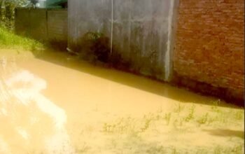 Tokoh Masyarakat Pohuwato Desak Pemerintah Tangani Banjir Akibat Tambang Ilegal 8 Penanganan Banjir Pohuwato Diduga Terkait Aktivitas Tambang – Warga Desak Pemprov Gorontalo/Hibata.id