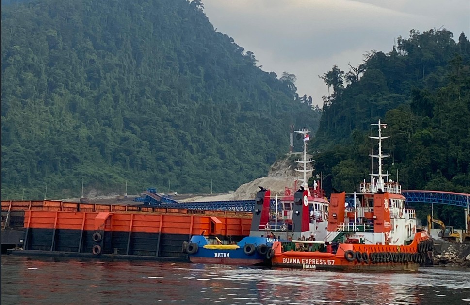 Wahana Lingkungan Hidup Indonesia (WALHI) Sulawesi Tengah/Hibata.id