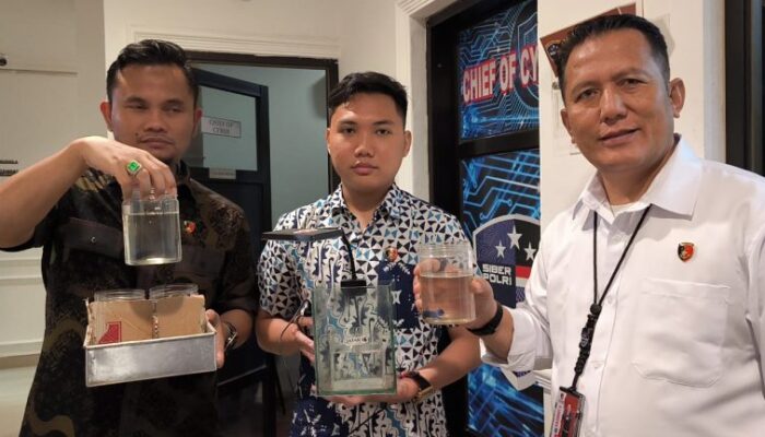 Scroll TikTok, Eh Ketemu Judi Adu Ikan Cupang: Pasutri di Sumsel Kena OTT