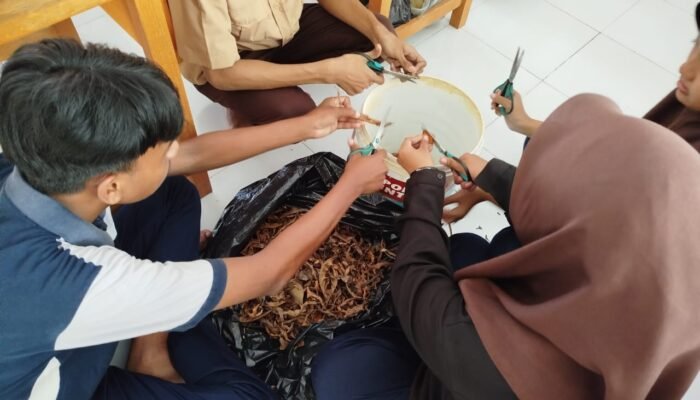 Tak Disangka, Mahasiswa UNG Sulap Sampah Daun Jadi Pupuk Bernilai