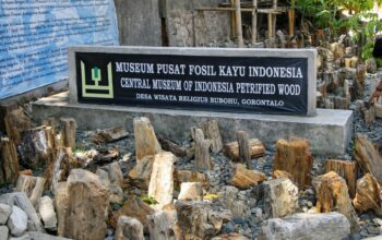 Museum Pusat Fosil Kayu Indonesia (MPFK) di Desa Bongo, Kecamatan Batudaa Pantai, Kabupaten Gorontalo/Hibata.id