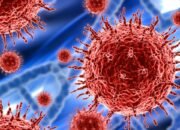 Ilustrasi - Virus Nipah Muncul di India/Hibata.id