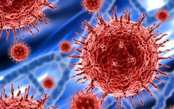 Virus Nipah Muncul di India, Epidemiolog Nilai Potensi Pandemi Kecil