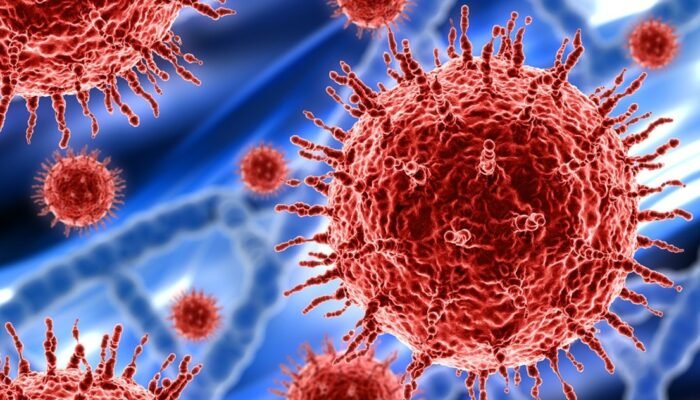 Virus Nipah Muncul di India, Epidemiolog Nilai Potensi Pandemi Kecil