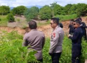 Polda Gorontalo Perketat Pengawasan Tambang Emas Tanpa Izin di Pohuwato