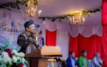 Dua Kabupaten di Sultra Terima Bantuan Rumput Laut dari KKP, Buton Tengah dan Muna Masuk Daftar/Hibata.id