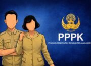 PPPK Paruh Waktu Tetap Terima THR dan Gaji ke-13, Ini Dasar Hukumnya