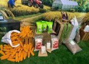 Komoditi pangan unggulan yang dipamerkan di Kantor Bank Indonesia Provinsi Gorontalo sebagai bagian dari dukungan penguatan ketahanan pangan daerah/Hibata.id