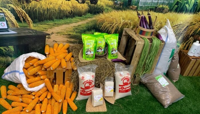 Strategi BI Perkuat Rantai Nilai Jagung Sulampua untuk Swasembada Pangan