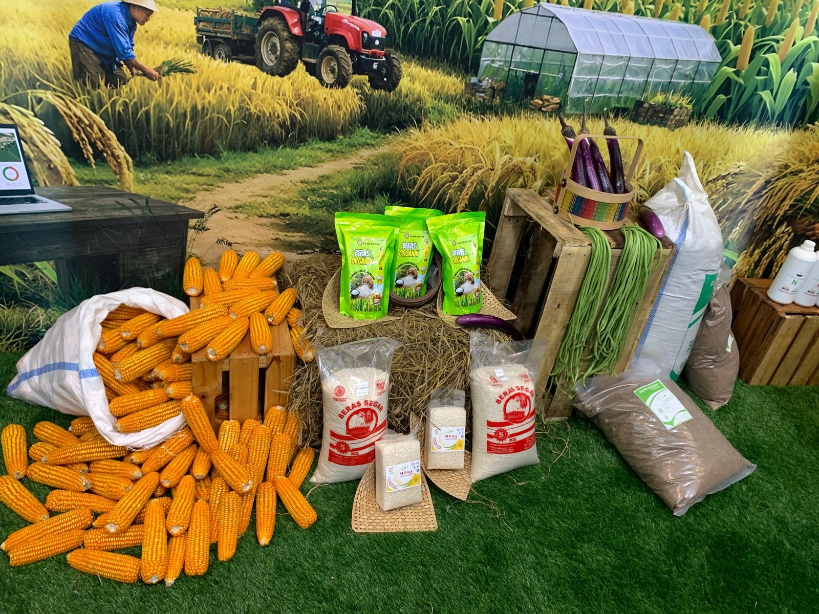 Komoditi pangan unggulan yang dipamerkan di Kantor Bank Indonesia Provinsi Gorontalo sebagai bagian dari dukungan penguatan ketahanan pangan daerah/Hibata.id