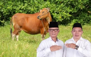 Pemkab Bone Bolango Siapkan 875 Ekor Sapi, Siapa yang Akan Dapat Bantuan?
