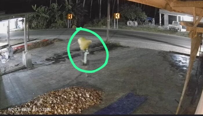 Aksi Subuh, Kelapa Warga Patilanggio “Ikut Jalan-Jalan” Terekam CCTV