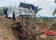 Dugaan Eksploitasi Anak Terjadi di Tambang Ilegal Buntulia Pohuwato