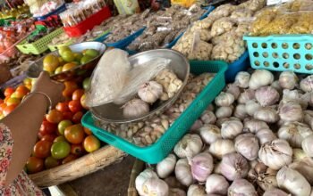 Harga Bumbu Dapur di Gorontalo Mulai Naik/Hibata.id