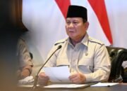Presiden Prabowo Subianto/Hibata.id