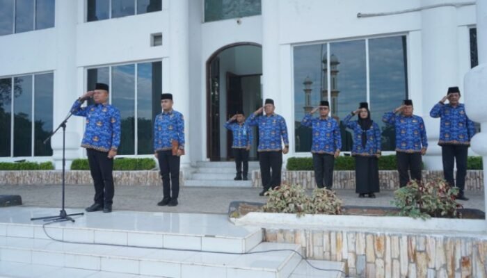 Pimpin Apel Hari Kesadaran Nasional, Wabup Asahan Sampaikan Program ASRI