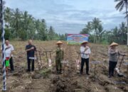Hamzah Idrus Dorong Sinergi Pemerintah dan Petani Tingkatkan Produksi Jagung