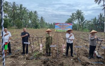 Hamzah Idrus Dorong Sinergi Pemerintah dan Petani Tingkatkan Produksi Jagung