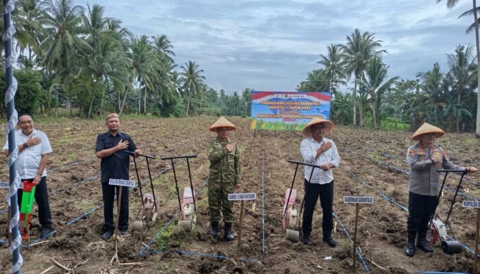 Hamzah Idrus Dorong Sinergi Pemerintah dan Petani Tingkatkan Produksi Jagung