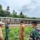 Wakil Bupati Boalemo Lahmuddin Hambali meninjau pembangunan camp sementara bagi anggota Batalyon yang berlokasi di Stadion Pemuda, Kabupaten Boalemo, Selasa (3/3). (Foto: Humas Pemkab Boalemo)