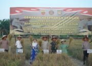 Kodim 0208/As Gelar Panen Raya Padi Gogo, Wabup Asahan Apresiasi Langkah TNI