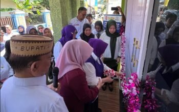 Polindes Berdiri, Pesan Tersirat Ismet Mile: Fasilitas Bukan Pajangan