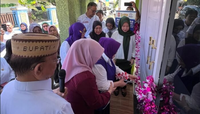 Polindes Berdiri, Pesan Tersirat Ismet Mile: Fasilitas Bukan Pajangan