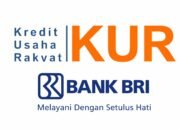 KUR BRI 2026 Resmi Dirilis, Bunga Ringan 3–6 Persen Buka Akses Modal UMKM/Hibata.id