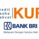 KUR BRI 2026 Resmi Dirilis, Bunga Ringan 3–6 Persen Buka Akses Modal UMKM/Hibata.id