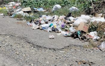 Polemik sampah di Kecamatan Bintauna, Bolmut, memicu reaksi warga usai pernyataan Plt Kadis DLH/Hibata.id