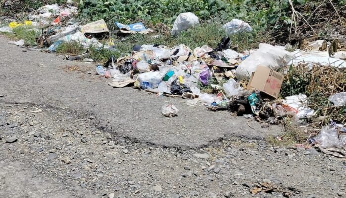 Sampah Bintauna Bikin Gaduh: Warga Semprot Pernyataan Plt Kadis DLH Bolmut