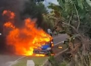 Mobil pick up pengangkut BBM jenis solar terbakar di Jalan Trans Pohuwato. Polisi menyebut korsleting listrik sebagai penyebab/Hibata.id