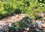 Sampah ‘Hijrah’ ke Pasar Bintauna, Warga Kebagian Bau Menyengat