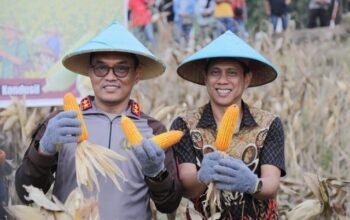 Kepala Korbinmas Baharkam Polri, Kalingga Rendra Raharja, dan Wali Kota Kotamobagu, Weny Gaib dalam agenda panen raya dan penanaman jagung. (Foto: Humas Pemkot Kotamobagu)