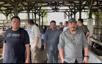 Bupati Boalemo Rum Pagau mengunjungi peternakan sapi modern di Desa Andaleh, Kabupaten Tanah Datar, Sumatra Barat/Hibata.id