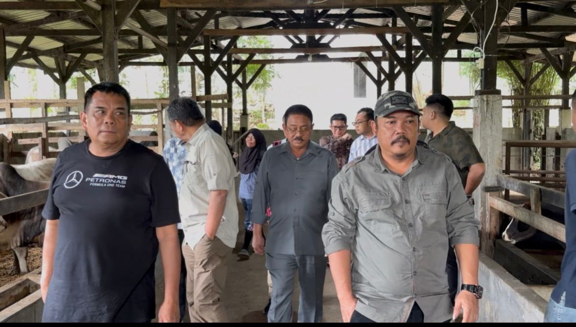 Bupati Boalemo Rum Pagau mengunjungi peternakan sapi modern di Desa Andaleh, Kabupaten Tanah Datar, Sumatra Barat/Hibata.id