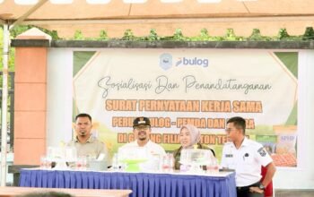 Pemerintah Kabupaten Buton Tengah bekerja sama dengan Perum Bulog untuk memperkuat ketahanan pangan/Hibata.id