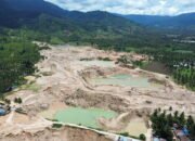 Hutan Hilang, Lubang Menganga, Potret Kelam Tambang Ilegal Pohuwato