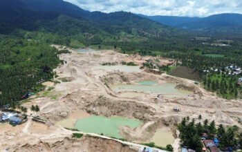 Jejak kerusakan akibat aktivitas tambang emas ilegal di Pohuwato. (Foto: Sarjan Lahay/Mongabay Indonesia)/Hibata.id