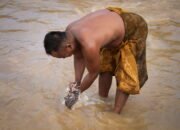 Tambang Ilegal Mengubah Sungai Pohuwato, Air Bersih Jadi Barang Mahal