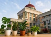 Efisiensi, Pemprov Gorontalo Justru Anggarkan Tanaman Hias Ratusan Juta